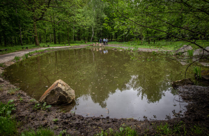 Kolejna część Parku Śląskiego zostanie zrewitalizowana