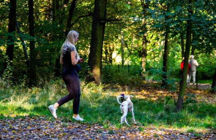 Park Śląski jeszcze bardziej przyjazny dla psów i ich właścicieli