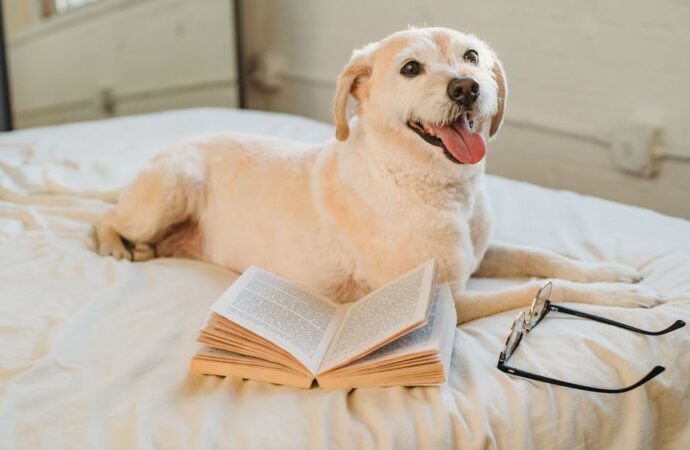 Książki o psach, które warto przeczytać