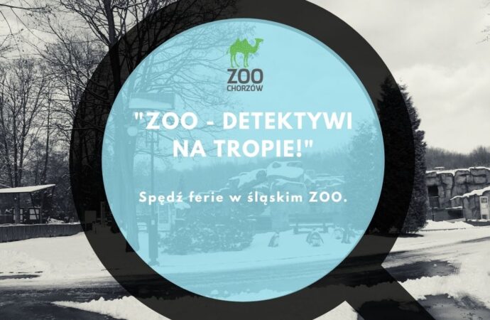 ZOO-detektywi na tropie. Śląski Ogród Zoologiczny zaprasza na ferie