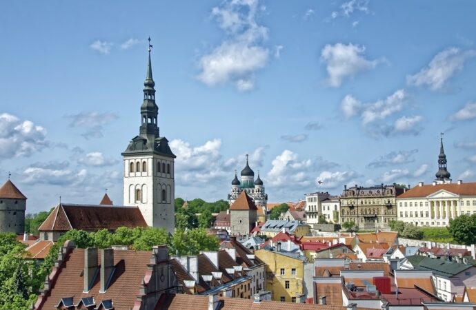 Estoński CIT 2022 – dla kogo ulgi?