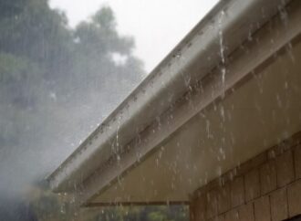 Metropolia pomoże założyć ogród deszczowy. Trwa nabór do programu