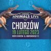 Chcesz rozpocząć hodowlę gadów, płazów lub ptaszników? Zacznij od giełdy Animals Live