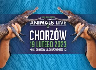 Chcesz rozpocząć hodowlę gadów, płazów lub ptaszników? Zacznij od giełdy Animals Live