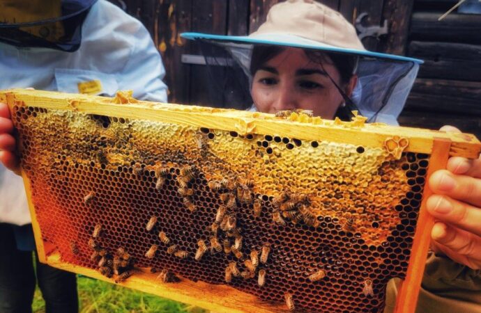 Przed nami kolejny etnospacer. „Wielkie mozoły, nim miód zniosą pszczoły”