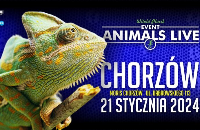 Już w niedzielę kolejna edycja Animals Live w Chorzowie
