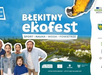 Błękitny ekoFest. Piknik rodzinny w Parku Śląskim