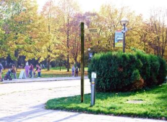Spore zmiany w Parku Śląskim. Strefa bez samochodów i innowacyjny system parkingowy
